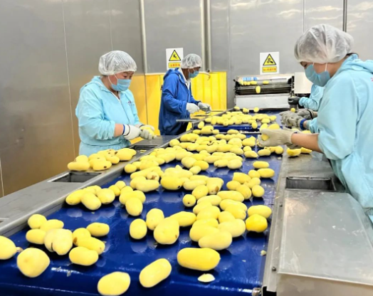 福满兴食品厂正式投产 匠心铸就安全美味的食品新未来