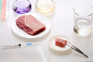 浙商新闻网 天下浙商网络社区的食品行业新动态